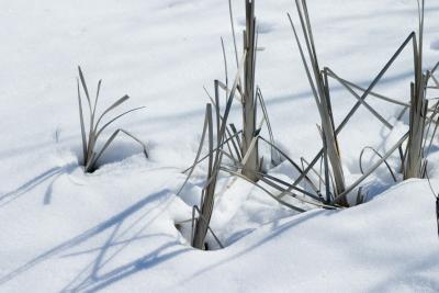 CRW_1095.jpg