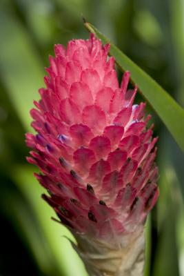 CRW_1146.jpg