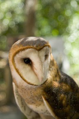 CRW_1171.jpg