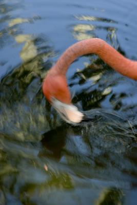 CRW_1192.jpg