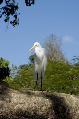 CRW_1208.jpg