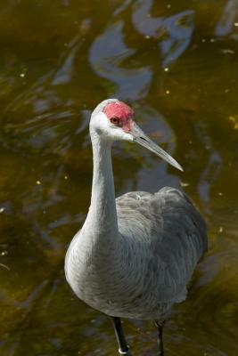 CRW_1237.jpg