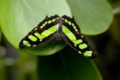 CRW_1285.jpg