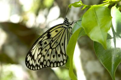 CRW_1305.jpg