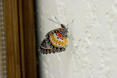 CRW_1308.jpg