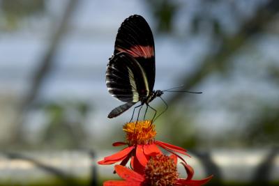 CRW_1309.jpg