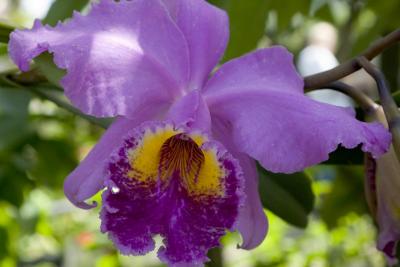 CRW_1310.jpg