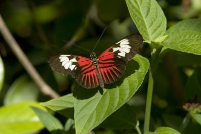 CRW_1318.jpg