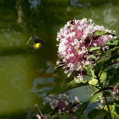 CRW_1340.jpg