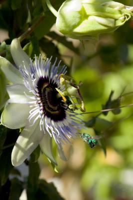 CRW_1354.jpg