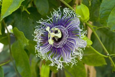 CRW_1357.jpg