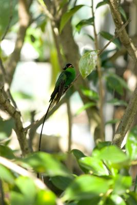 CRW_1359.jpg