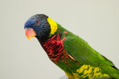 CRW_1380.jpg