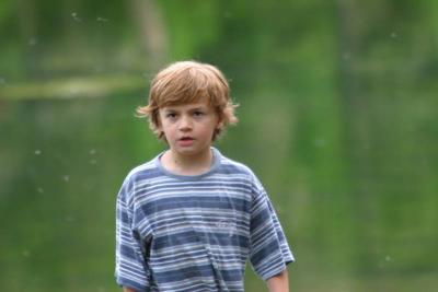u47/ksproule/medium/31043017.IMG_4666.jpg