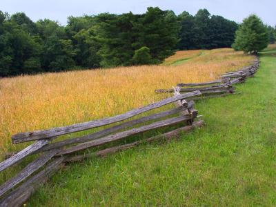 Split Rail Fence