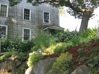 House on the Hill