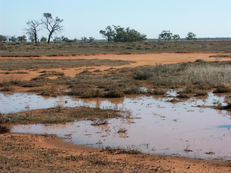 Halls Lakes area, Willandra