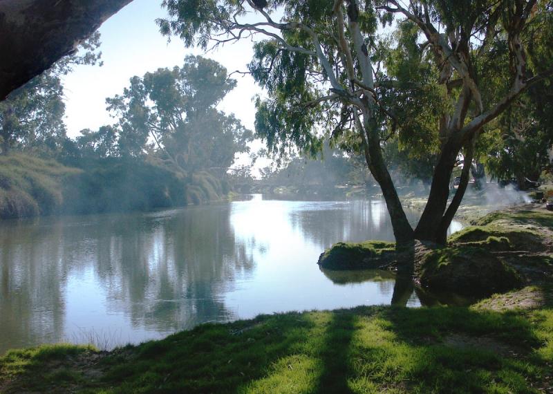 Morning on Cooper Creek