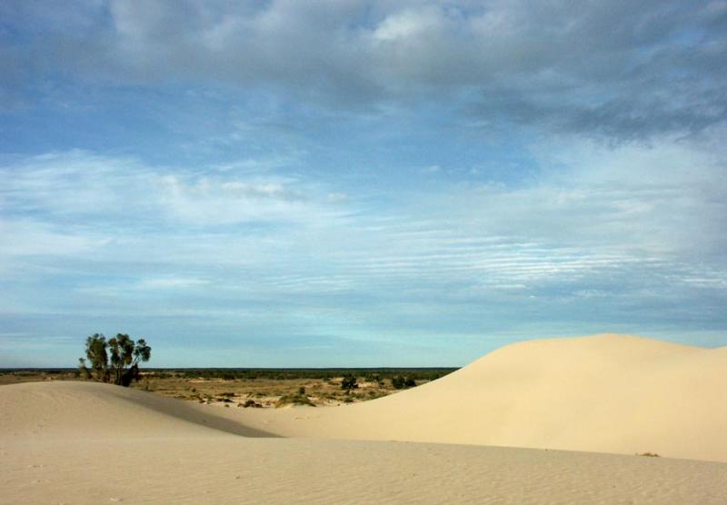 Looking NE across the dunes