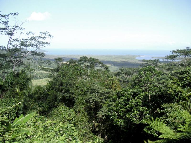 Mouth of the Daintree River