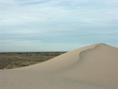 Dune east of Lake Mungo