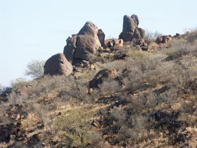 Not sculptures - but on the way up the hill to them