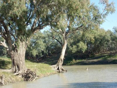 Darling River