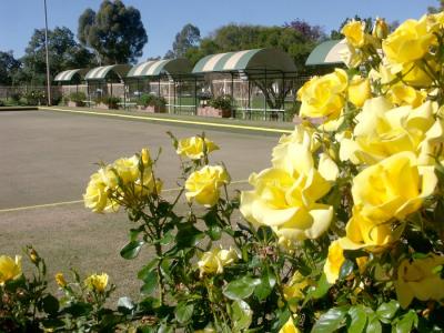 Bowling Club, Bourke