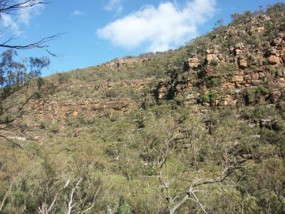Gorge in Weddin Mountains