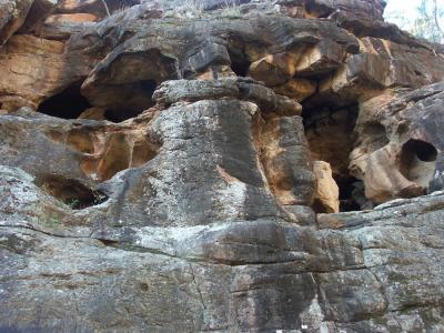 Caves for birds