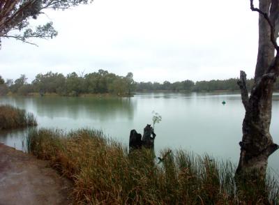 Confluence of Darling and Murray Rivers