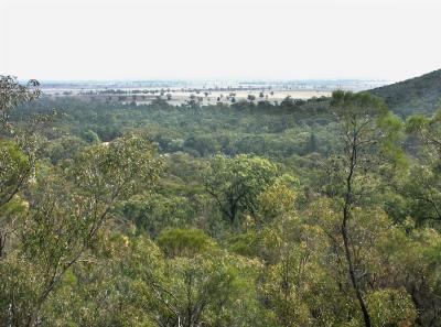 View from Ben Hall's Cave