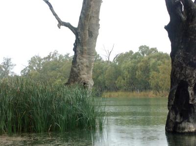 Darling River