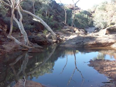 Waterhole, Mutawintji Gorge