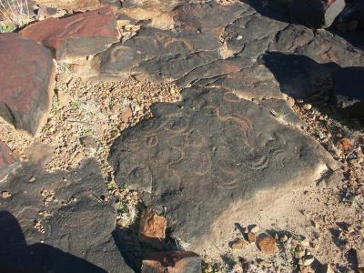 Aboriginal rock carvings (3)