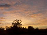 Dawn over Willandra