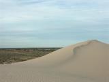 Dune east of Lake Mungo