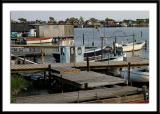 IMG_1323-after_hnf_10.jpg