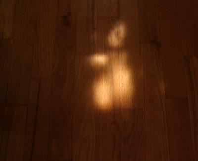 sun on hardwood floor