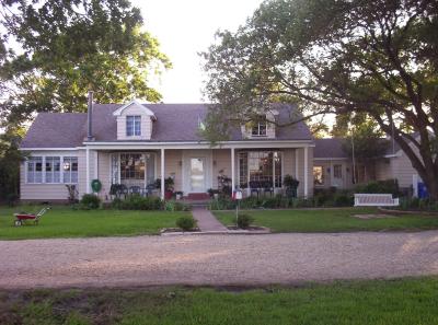 Front yard in June 2004.