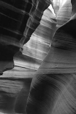 IMG_0838fixbw.jpg