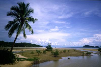 u47/lcarlsen/medium/40010003.iTHAI3088_Coast_Phangan.jpg