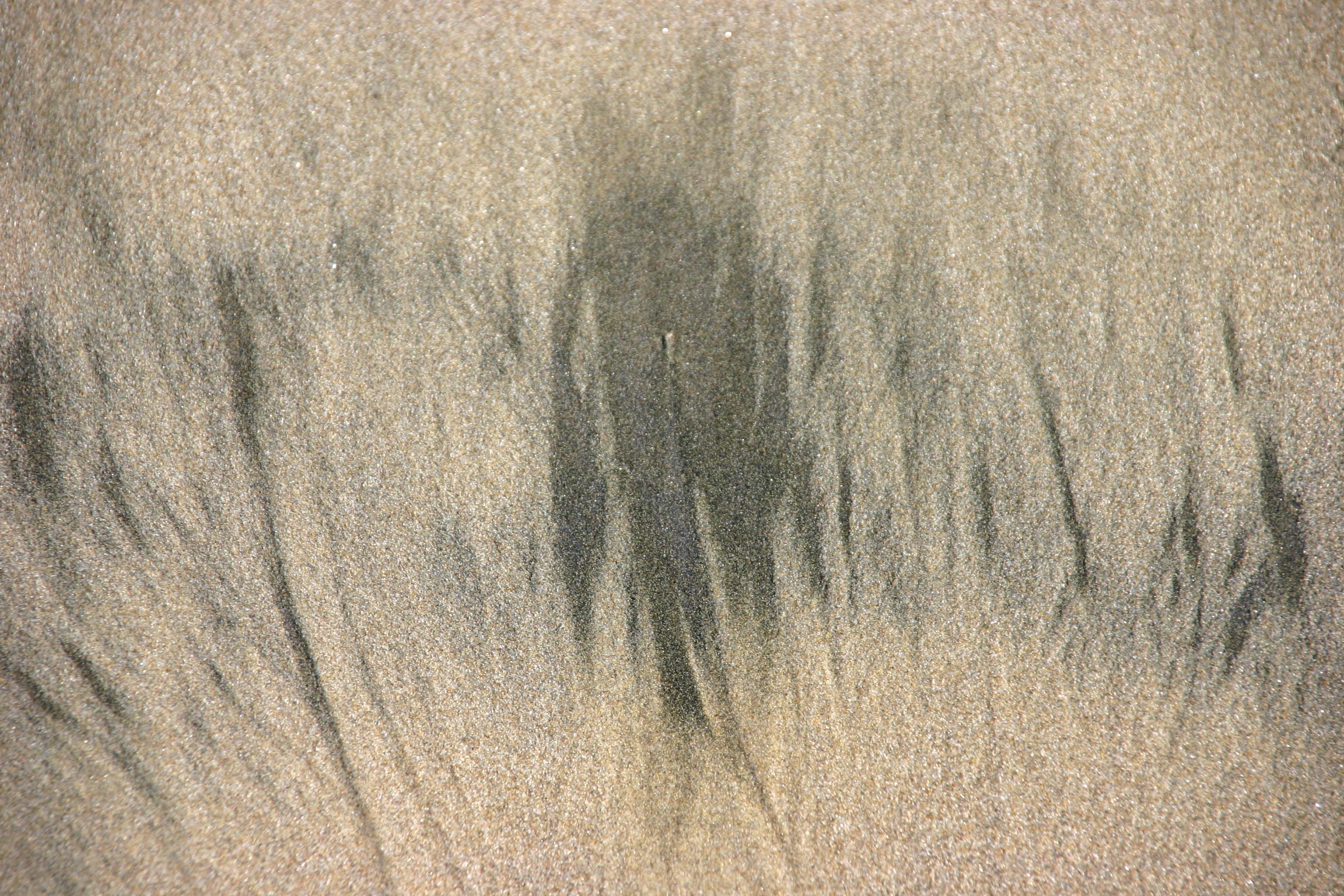 Brushstrokes in the Sand