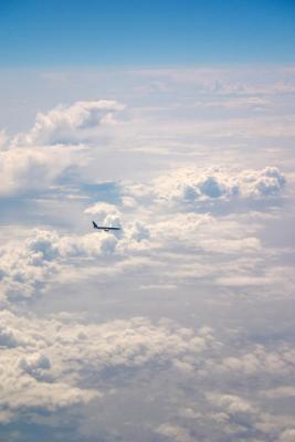 Flight Home