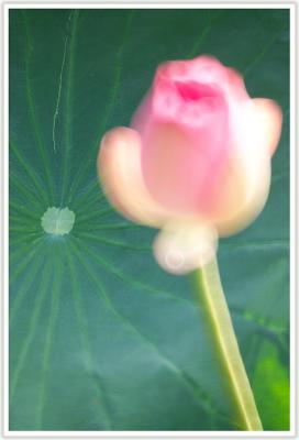 IMG_4299 copy.jpg