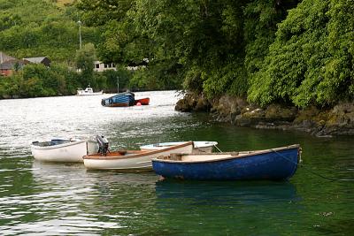 The river Fowey