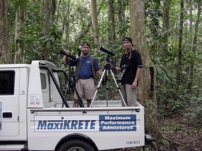 RARE SPECIES AT MT. MAKILING. There are not many wild bird photographers in the Philippines. 
Jeff Carig is lucky to shoot two of them (with a Sony FD 95) on this day...8-)
 
The 4x4 truck of Maxikrete Philippines, Inc. (my company) serves as a mobile shooting platform for birds along the trail.
