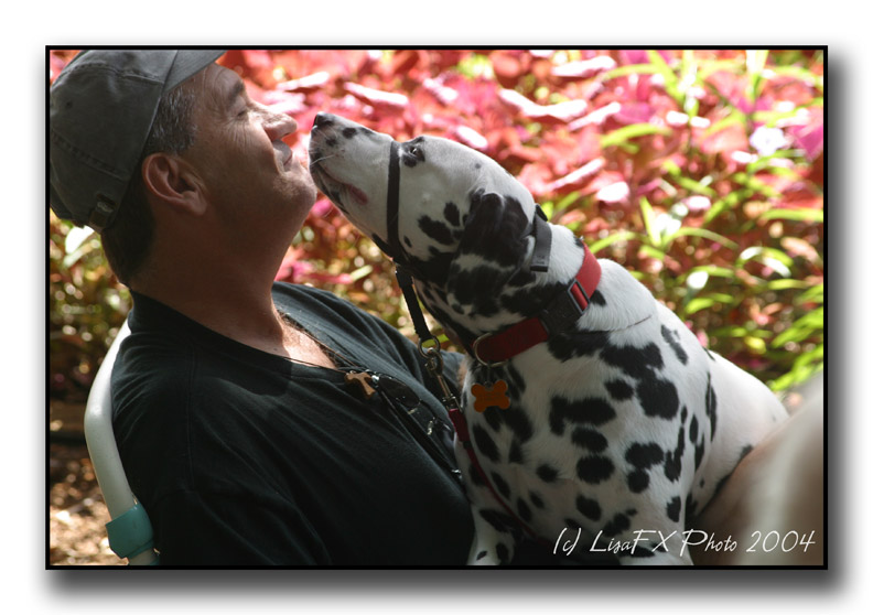 07-Dalmation-Kisses.jpg