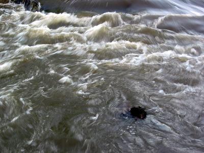 Fury of Nature 6196.jpg