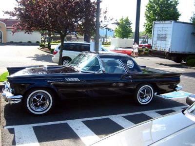 u47/liv2day/medium/30348228.blacktbird.jpg